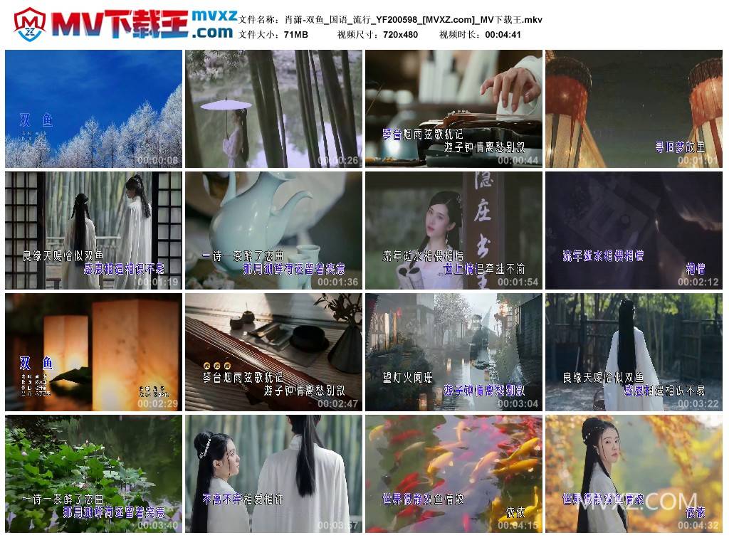 肖潇-双鱼_国语_流行_YF200598